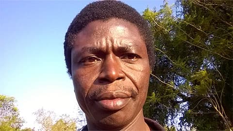 A close up of Augustine, he is standing outside with blue sky and trees in the background.